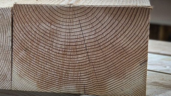 Free of heart centre timber